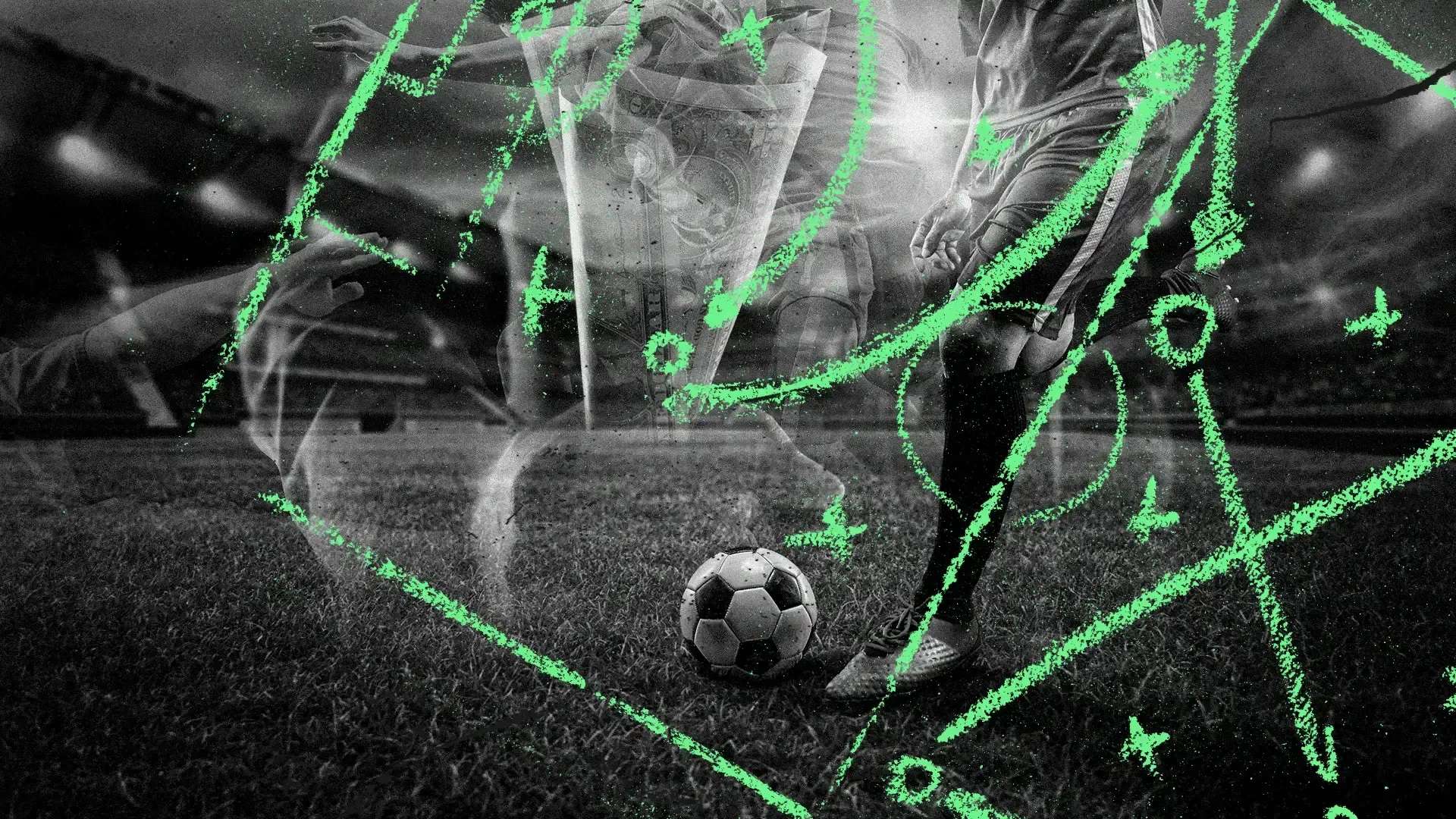 体管理体系 体管理体系